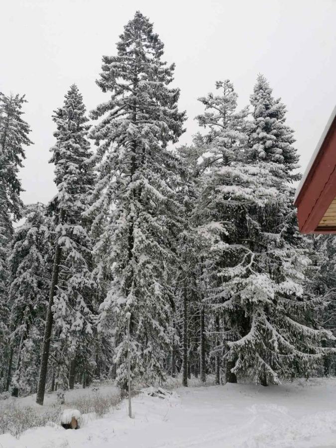 Elina Hotel Pamporovo Exterior foto